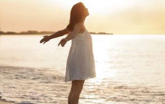 DEST-NOEL : Destination Noël